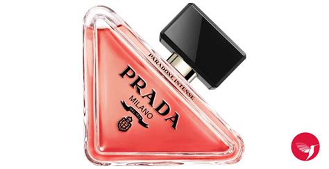 impero prada|Prada Paradoxe Intense Prada for women .